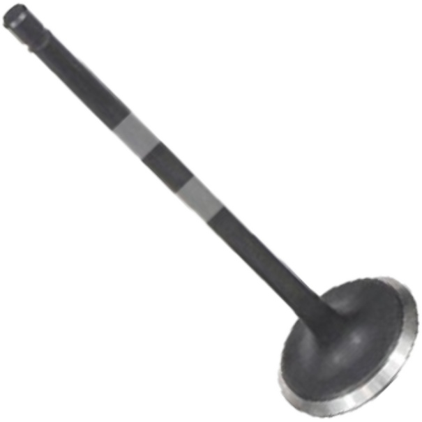 Válvula de Admissão para Toyota Corolla - Mahle Metal Leve - VA0631550 STD