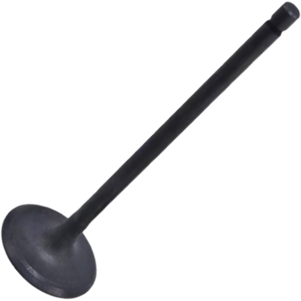 Válvula de Admissão para Toyota Corolla - Mahle Metal Leve - VA0631738 STD