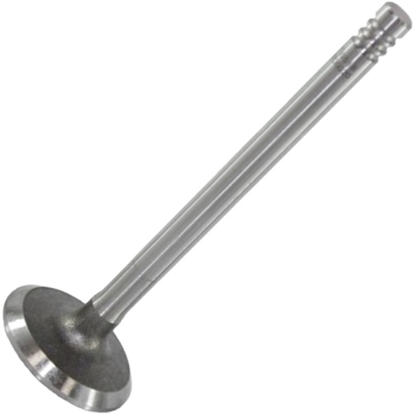 Válvula de Admissão - Mahle Metal Leve - VA0700020 STD