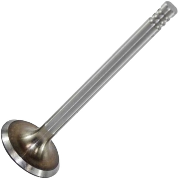 Válvula de Admissão para Volkswagen Gol - Mahle Metal Leve - VA0700028 STD