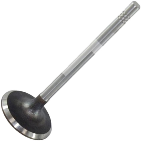 Válvula de Admissão - Mahle Metal Leve - VA0700252 STD