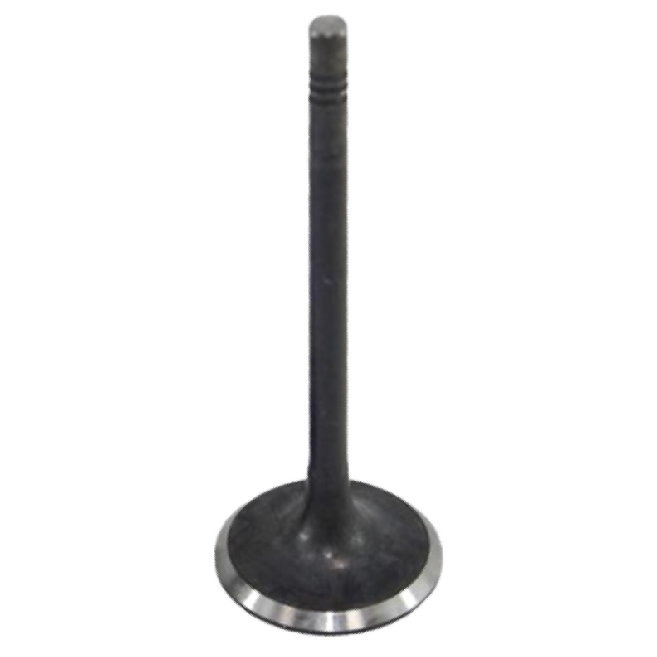 Válvula de Admissão - Mahle Metal Leve - VA0700267 STD