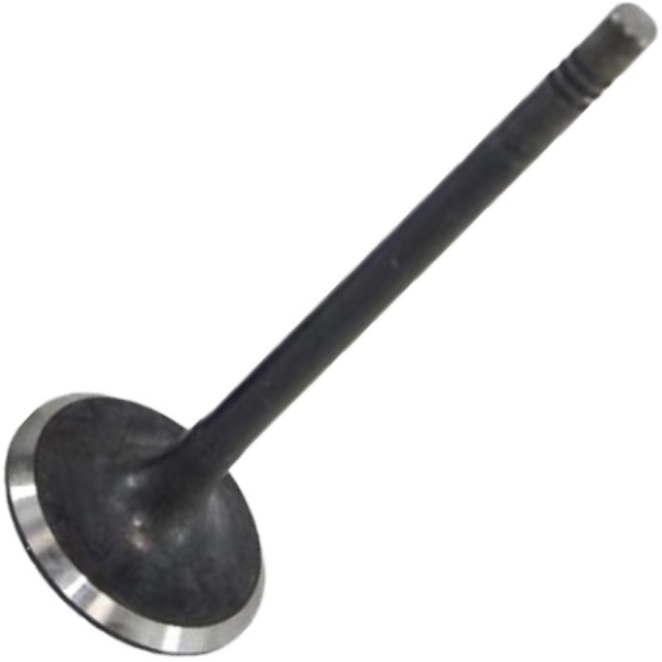 Válvula de Admissão - Mahle Metal Leve - VA0700267 STD