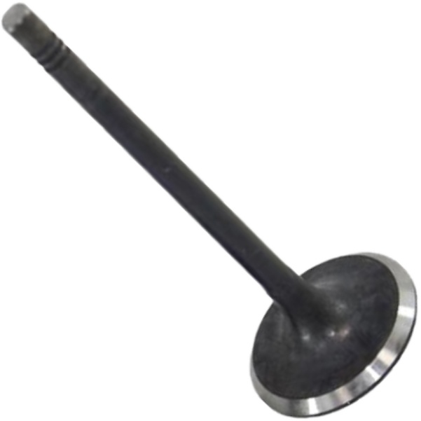 Válvula de Admissão - Mahle Metal Leve - VA0700267 STD