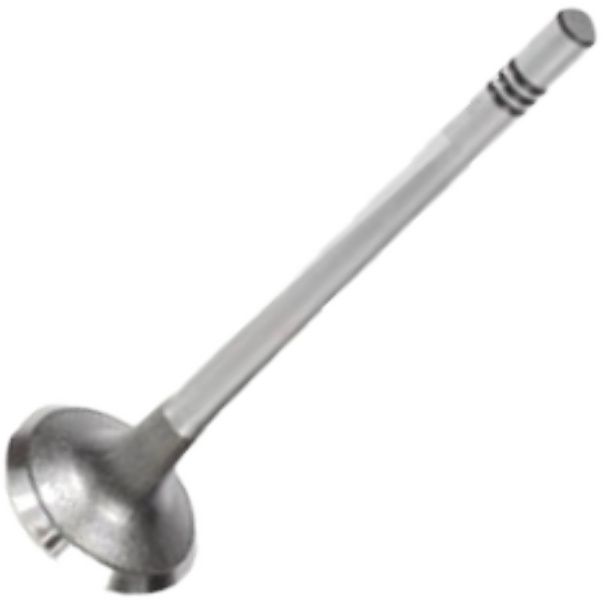 Válvula de Admissão para Volkswagen Amarok - Mahle Metal Leve - VA0701558 STD