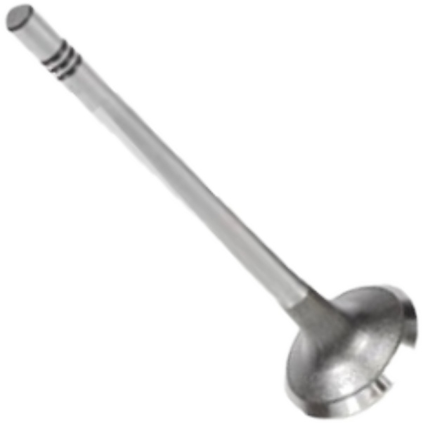 Válvula de Admissão para Volkswagen Amarok - Mahle Metal Leve - VA0701558 STD