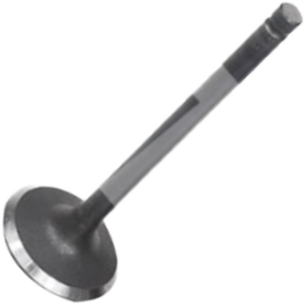 Válvula de Admissão para ASIA Topic - Mahle Metal Leve - VA0720154 STD