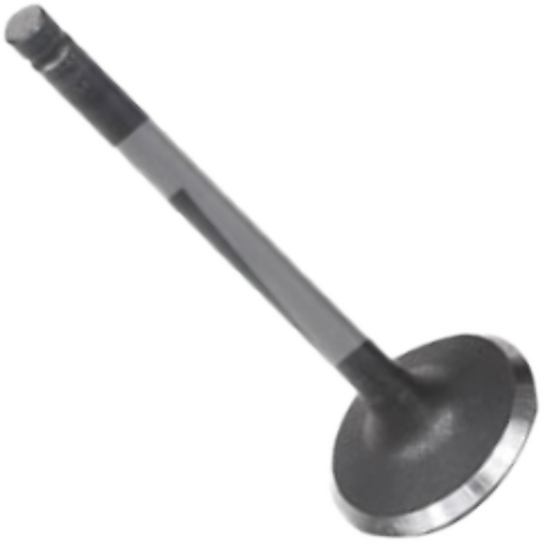 Válvula de Admissão para ASIA Topic - Mahle Metal Leve - VA0720154 STD