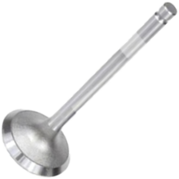 Válvula de Admissão para ASIA Towner - Mahle Metal Leve - VA0720156 STD