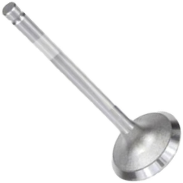 Válvula de Admissão para ASIA Towner - Mahle Metal Leve - VA0720156 STD