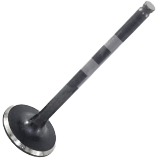Válvula de Admissão - Mahle Metal Leve - VA1950223 STD