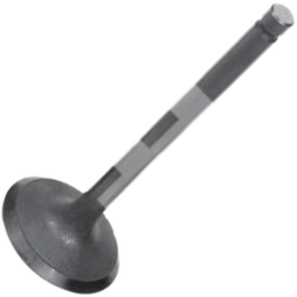 Válvula de Admissão para Mitsubishi Pajero e Pajero Sport - Mahle Metal Leve - VA1950247 STD