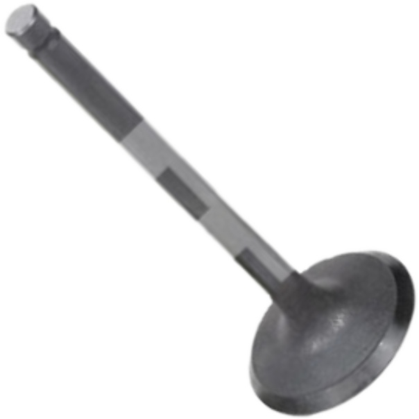 Válvula de Admissão para Mitsubishi Pajero e Pajero Sport - Mahle Metal Leve - VA1950247 STD
