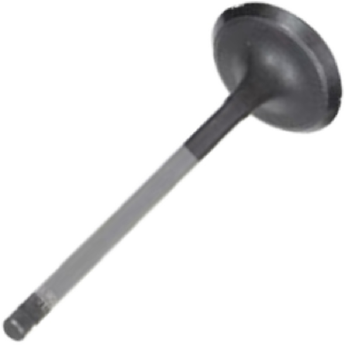 Válvula de Admissão - Mahle Metal Leve - VA2081552 STD