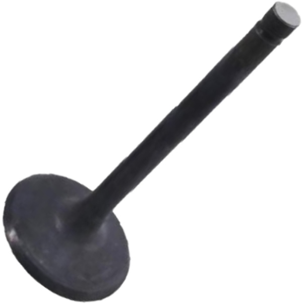Válvula de Admissão para KIA Besta - Mahle Metal Leve - VA2110187 STD