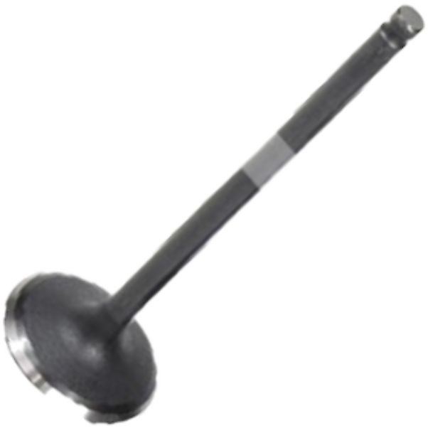 Válvula de Admissão para KIA Clarus e Sportage - Mahle Metal Leve - VA2111419 STD