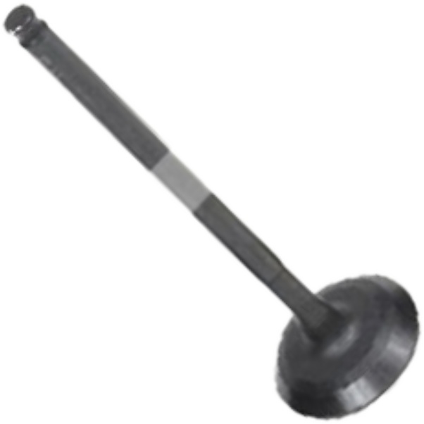 Válvula de Admissão para Chery QQ - Mahle Metal Leve - VA3481577 STD