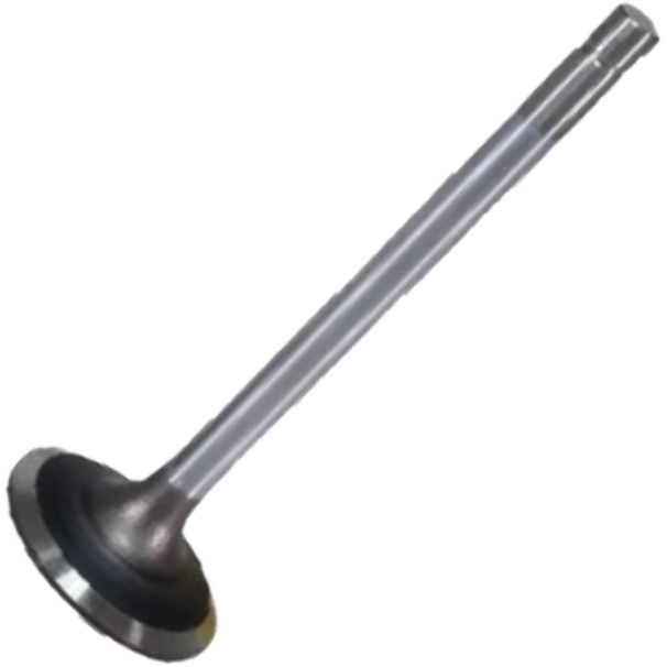 Válvula de Admissão - Mahle Metal Leve - VA0011763 STD