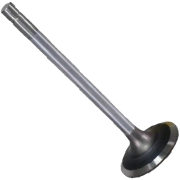 Válvula de Admissão - Mahle Metal Leve - VA0011763 STD