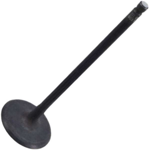 Válvula de Admissão para Nissan March e Versa - Mahle Metal Leve - VA0031761 STD