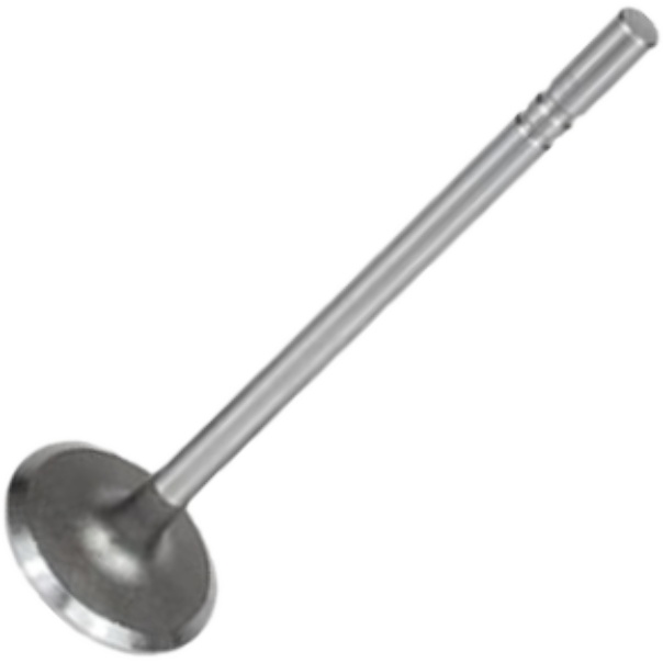 Válvula de Admissão para Chevrolet C-10 e GMC 6500 - Mahle Metal Leve - VA0140106 STD