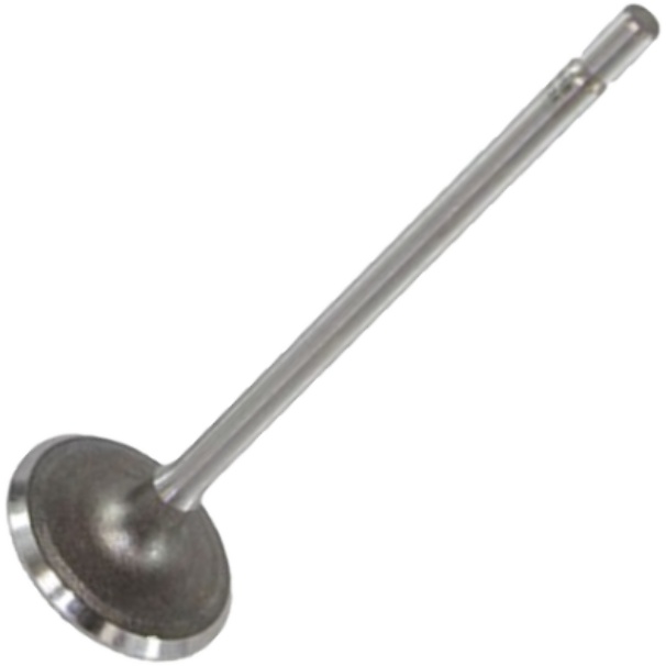 Válvula de Admissão - Mahle Metal Leve - VA0211427 STD