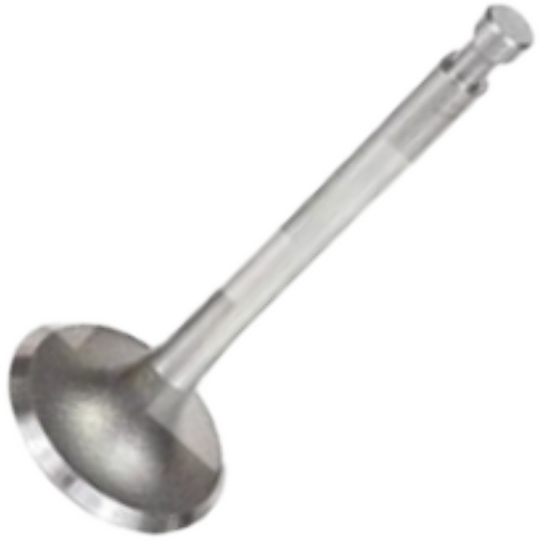 Válvula de Admissão - Mahle Metal Leve - VA0230119 STD