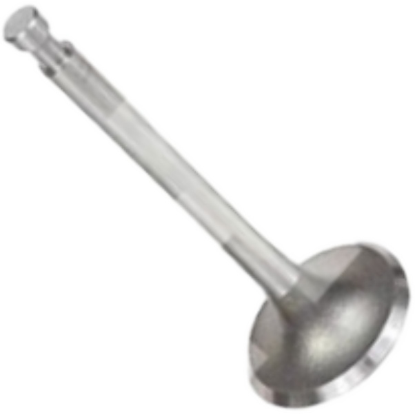 Válvula de Admissão - Mahle Metal Leve - VA0230119 STD