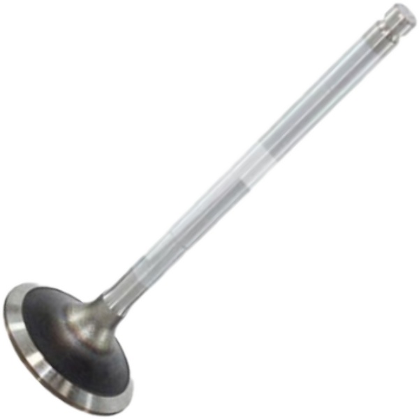 Válvula de Admissão - Mahle Metal Leve - VA0310273 STD