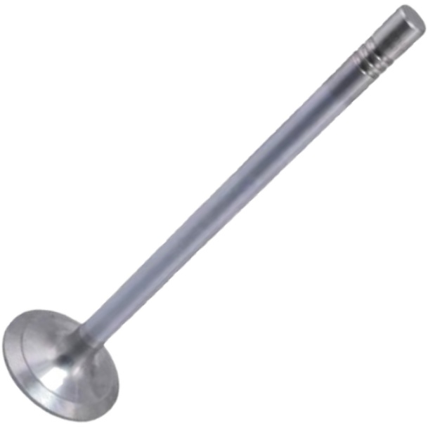 Válvula de Admissão - Mahle Metal Leve - VA0461734 STD