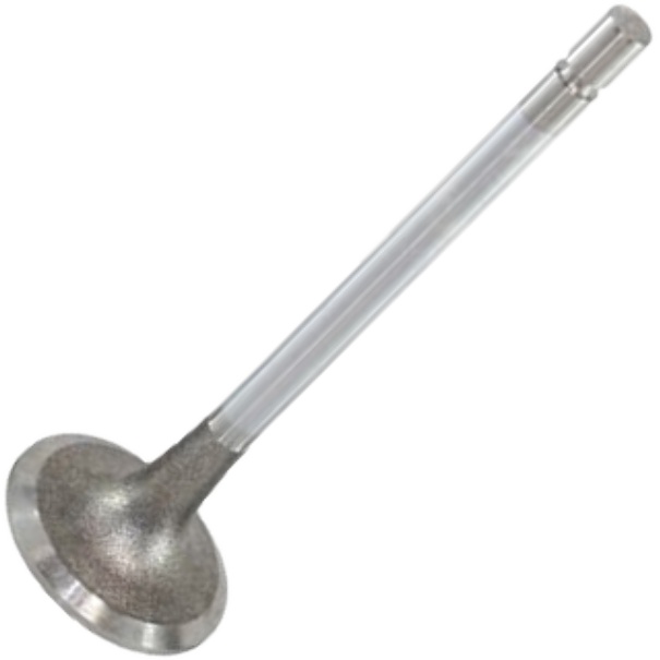 Válvula de Admissão - Mahle Metal Leve - VA0480193 STD