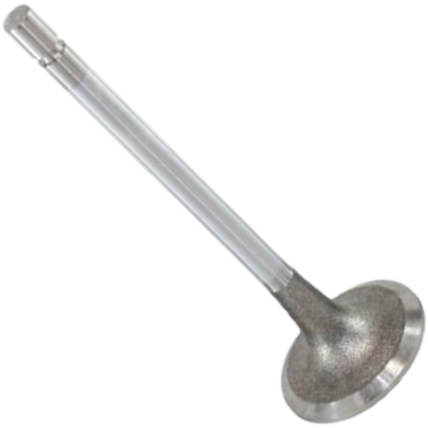 Válvula de Admissão - Mahle Metal Leve - VA0480193 STD