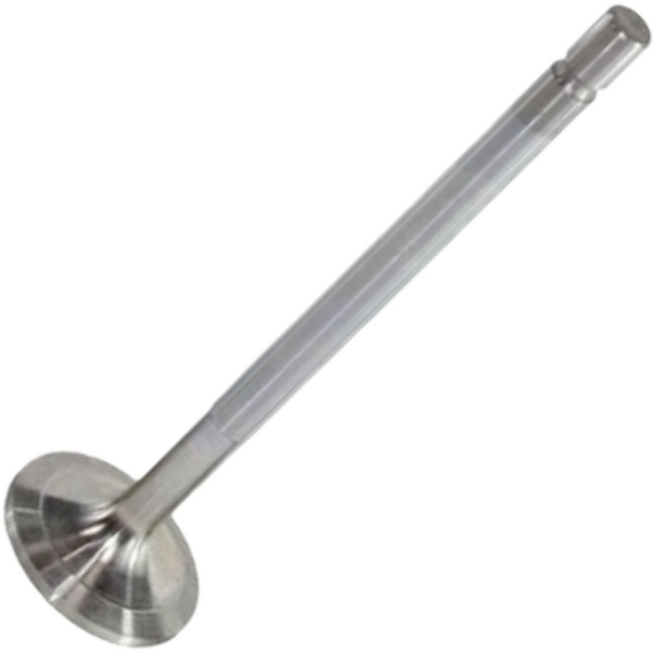 Válvula de Admissão - Mahle Metal Leve - VA0480244 STD