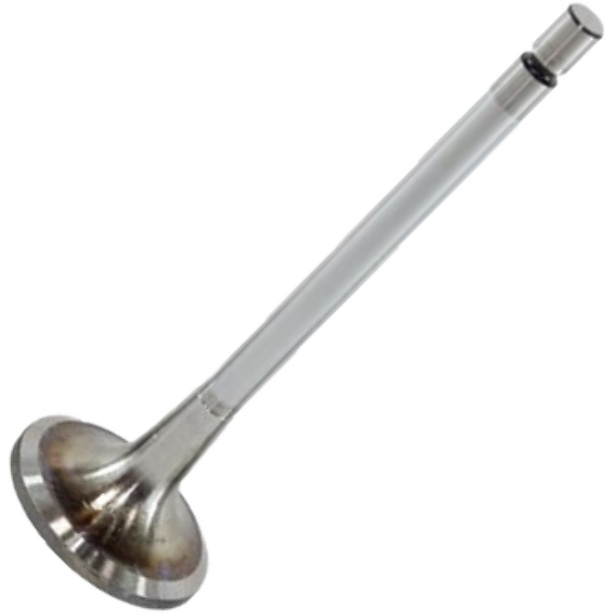 Válvula de Admissão - Mahle Metal Leve - VA0481436 STD