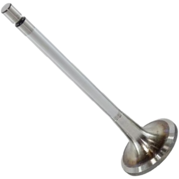 Válvula de Admissão - Mahle Metal Leve - VA0481436 STD