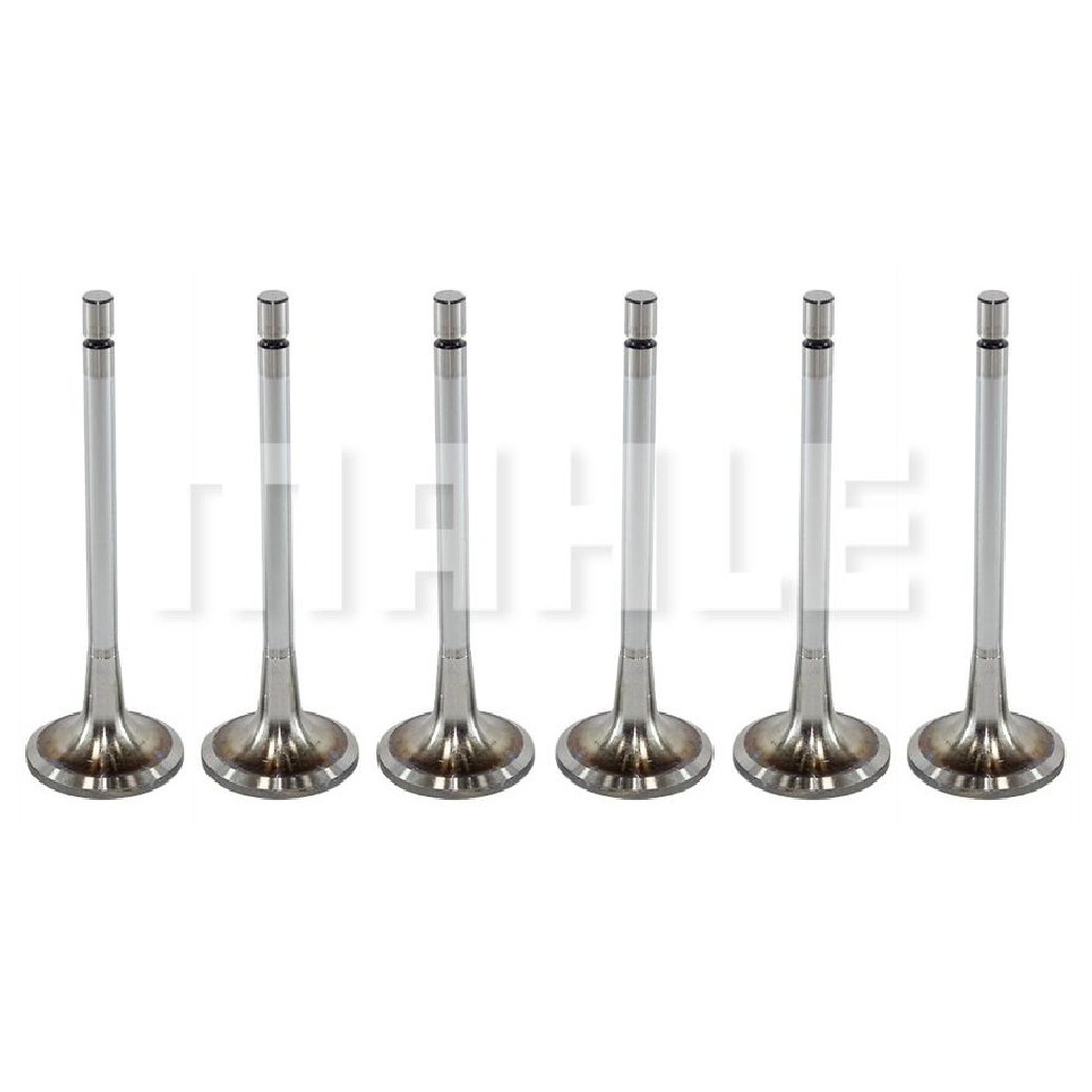 Kit 6 Válvula de Admissão - Mahle Metal Leve - VA0481436 STD