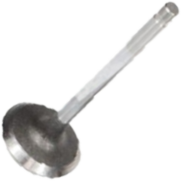 Válvula de Admissão para Ford Explorer e Ranger - Mahle Metal Leve - VA0590275 STD