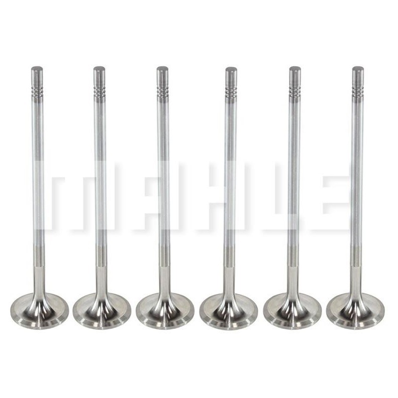 Kit 6 Válvula de Admissão - Mahle Metal Leve - VA0711398 STD