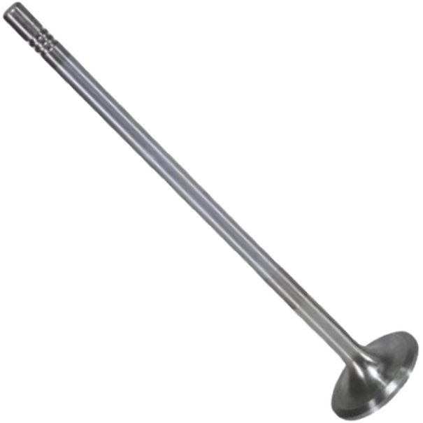 Válvula de Admissão - Mahle Metal Leve - VA0711742 STD