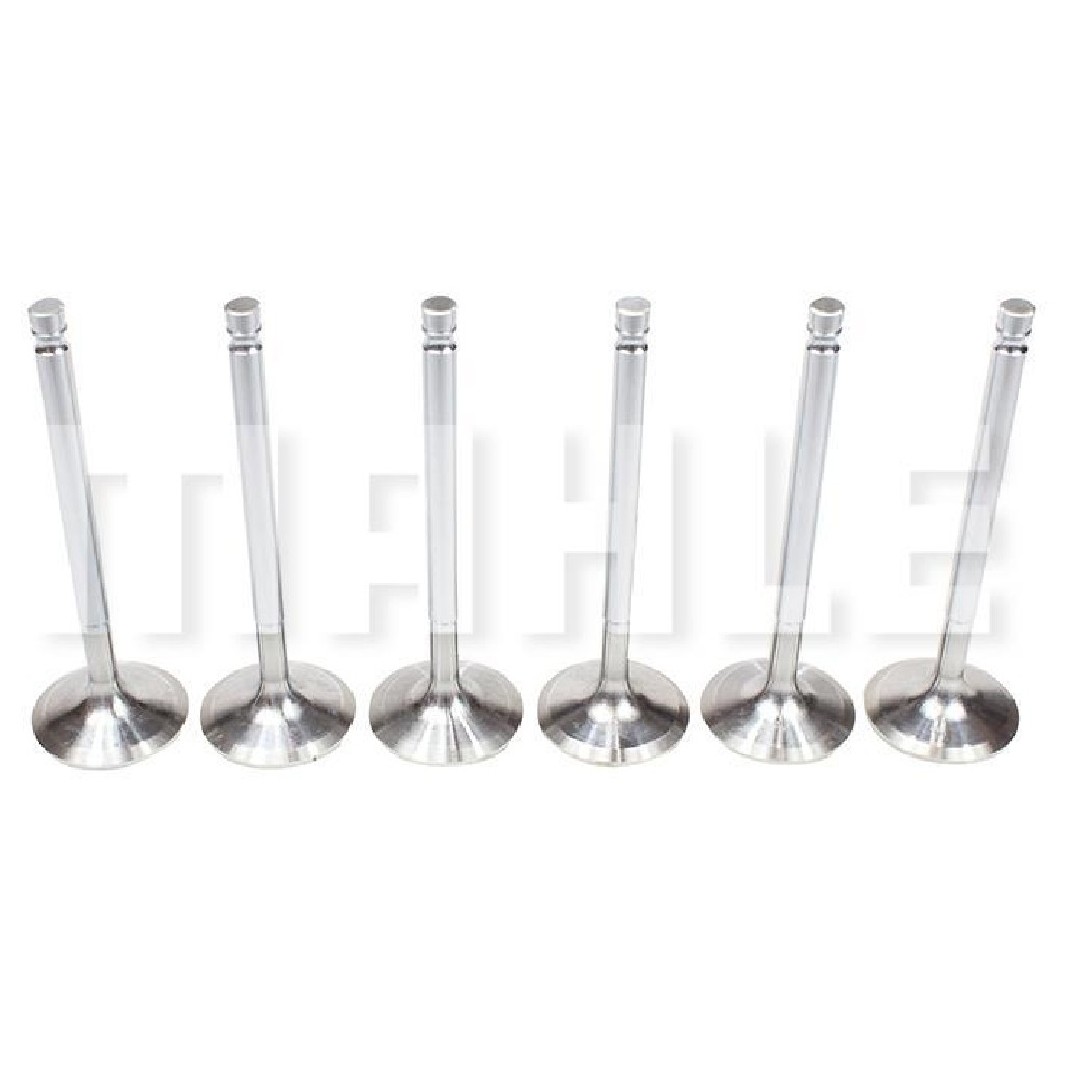 Kit 6 Válvula de Admissão - Mahle Metal Leve - VA0761145 STD