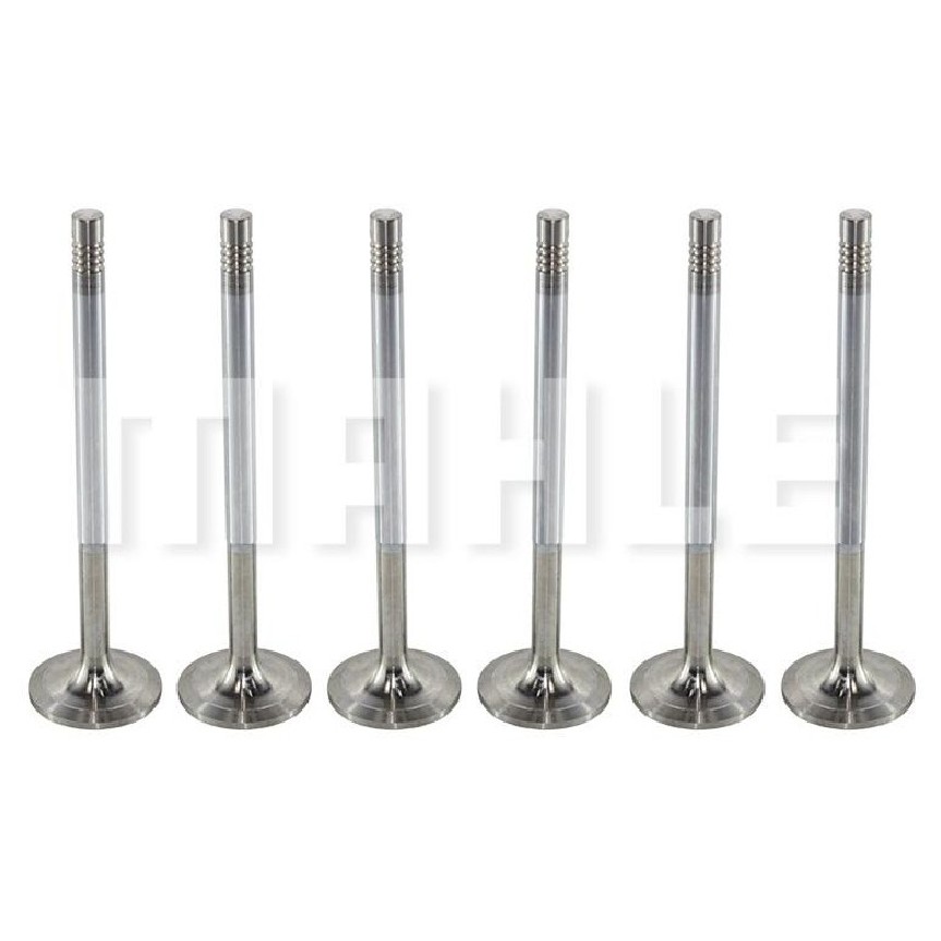 Kit 6 Válvula de Admissão - Mahle Metal Leve - VA0761423 STD