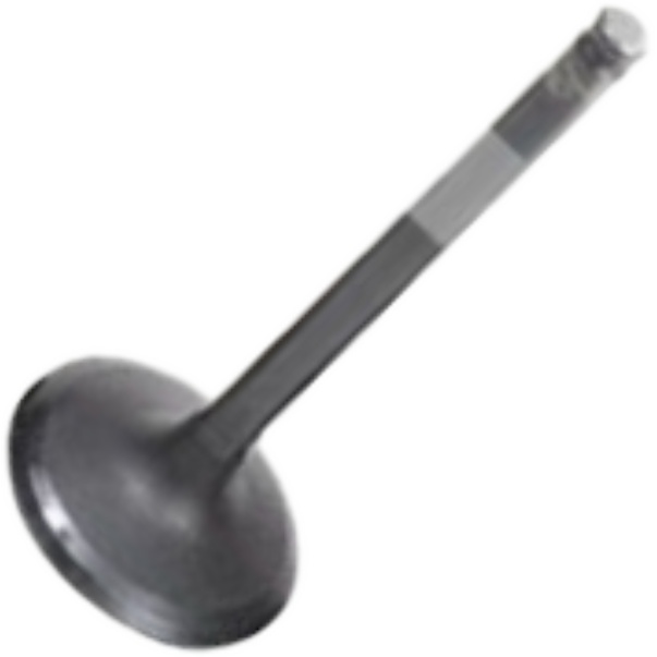Válvula de Admissão para Mitsubishi Pajero - Mahle Metal Leve - VA1950234 STD