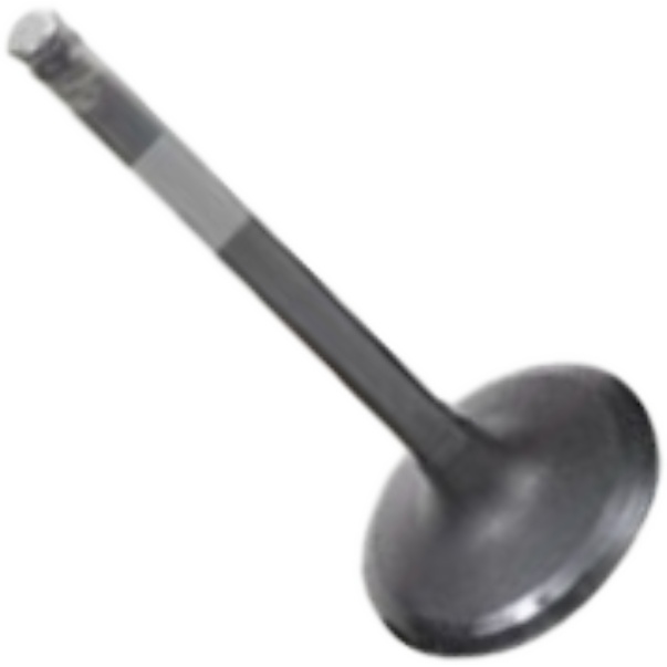 Válvula de Admissão para Mitsubishi Pajero - Mahle Metal Leve - VA1950234 STD