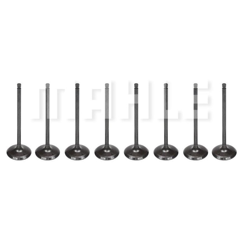 Kit 8 Válvula de Admissão para Nissan March e Versa - Mahle Metal Leve - VA0031608 STD