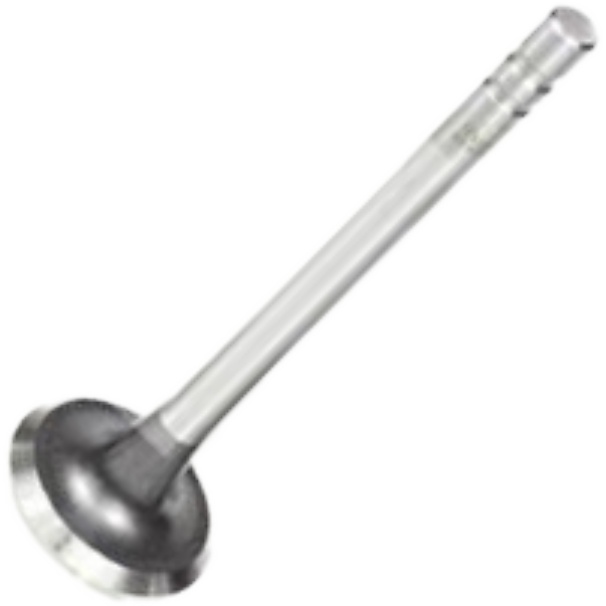Válvula de Escape - Mahle Metal Leve - VE0140107 +3