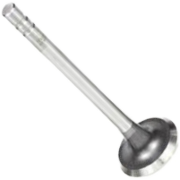 Válvula de Escape - Mahle Metal Leve - VE0140107 +3