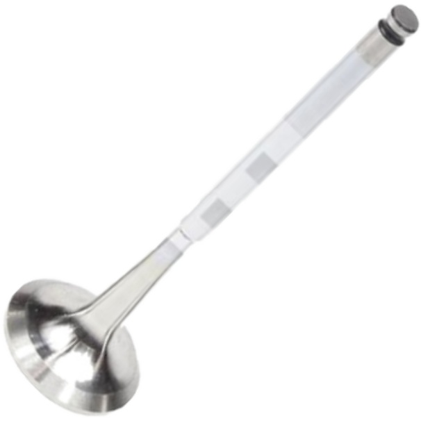 Válvula de Escape - Mahle Metal Leve - VE0441603 STD