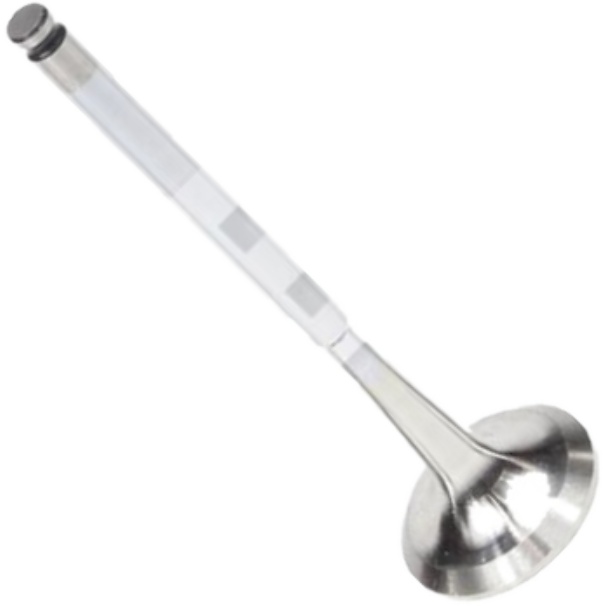 Válvula de Escape - Mahle Metal Leve - VE0441603 STD