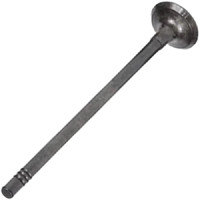Válvula de Escape - Mahle Metal Leve - VE0181607 STD