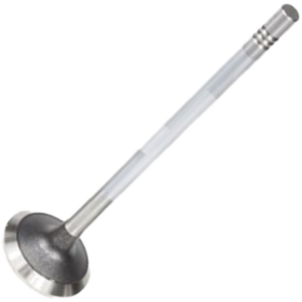 Válvula de Escape - Mahle Metal Leve - VE0011616 STD